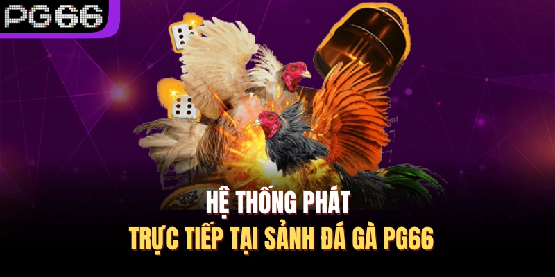 Hệ thống phát trực tiếp tại sảnh đá gà PG66