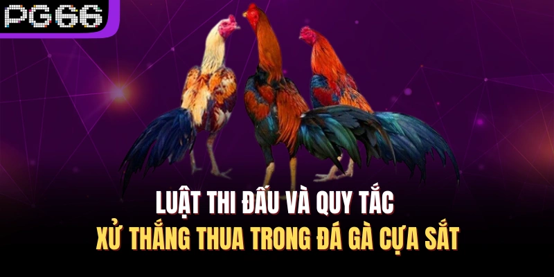 Luật thi đấu và quy tắc xử thắng thua trong đá gà cựa sắt